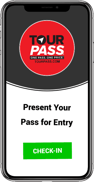 mobile pass entry