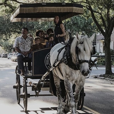 haunted carriage tour in charleston sc