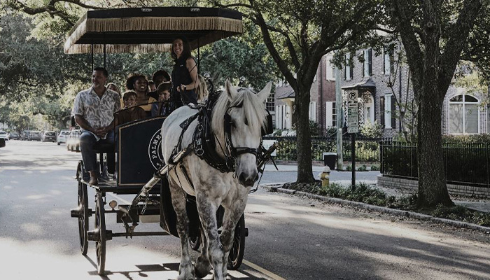 haunted carriage tour - charleston sc