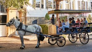 charleston carriage tour