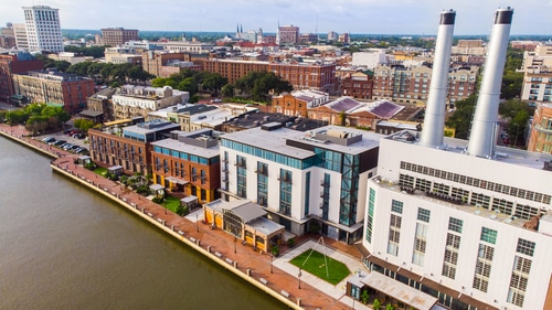 Plant Riverside Savannah shutterstock 1805239678