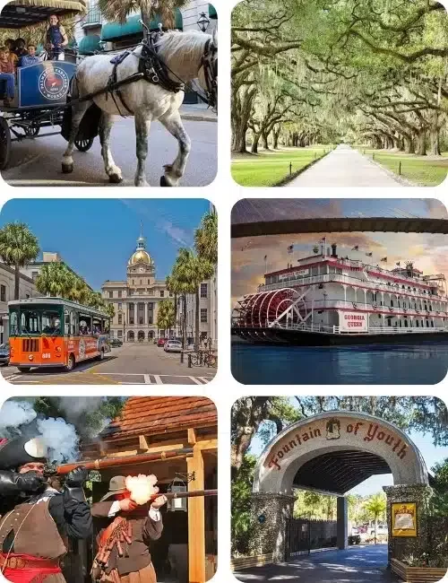 the best attractions and tours in charleston, savannah, st. augustine