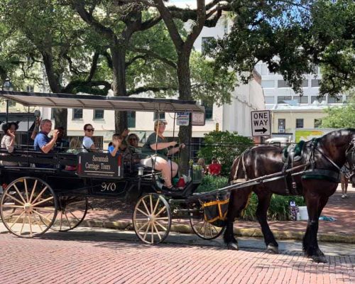 savannah carriage tours